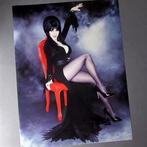 Elvira Mistress Of The Dark Art Poster Unpleasant Dreams